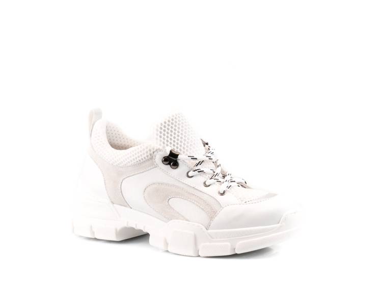 Jiudit Art.1104 Liquidazione