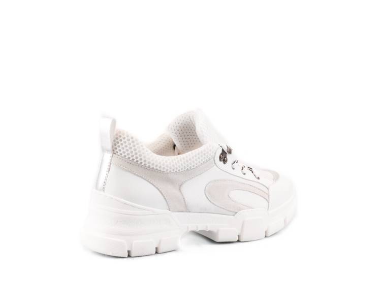 Jiudit Art.1104 Liquidazione