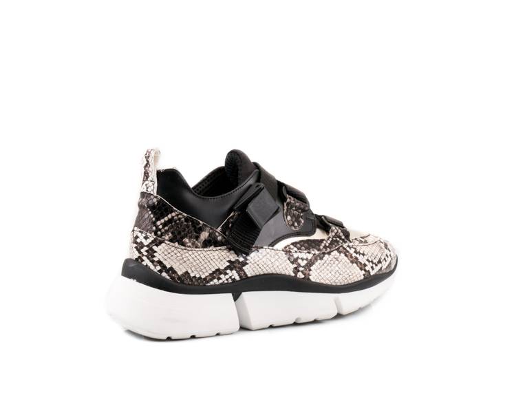 Jiudit Art.1222D Ritorno libero