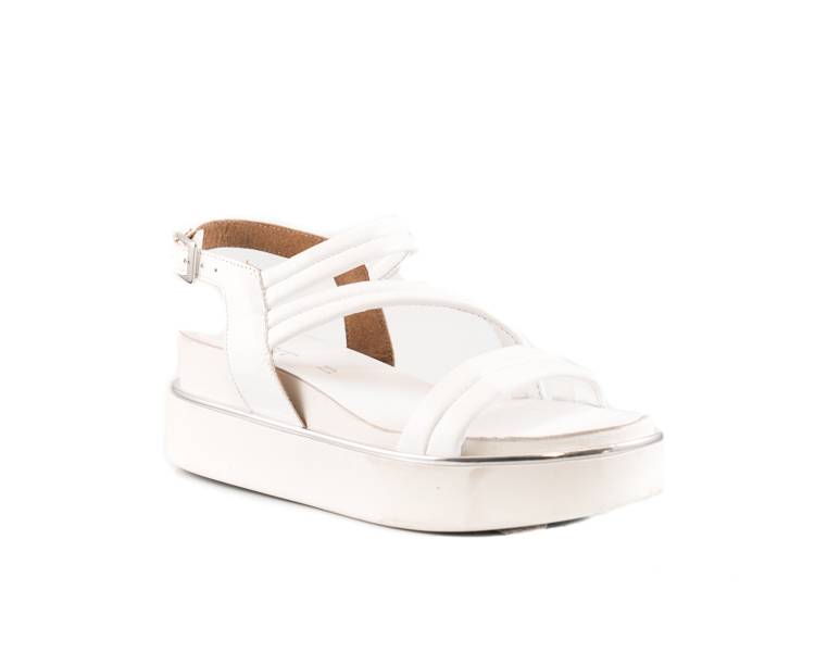 Jiudit Art. 70081 Offerta natalizia