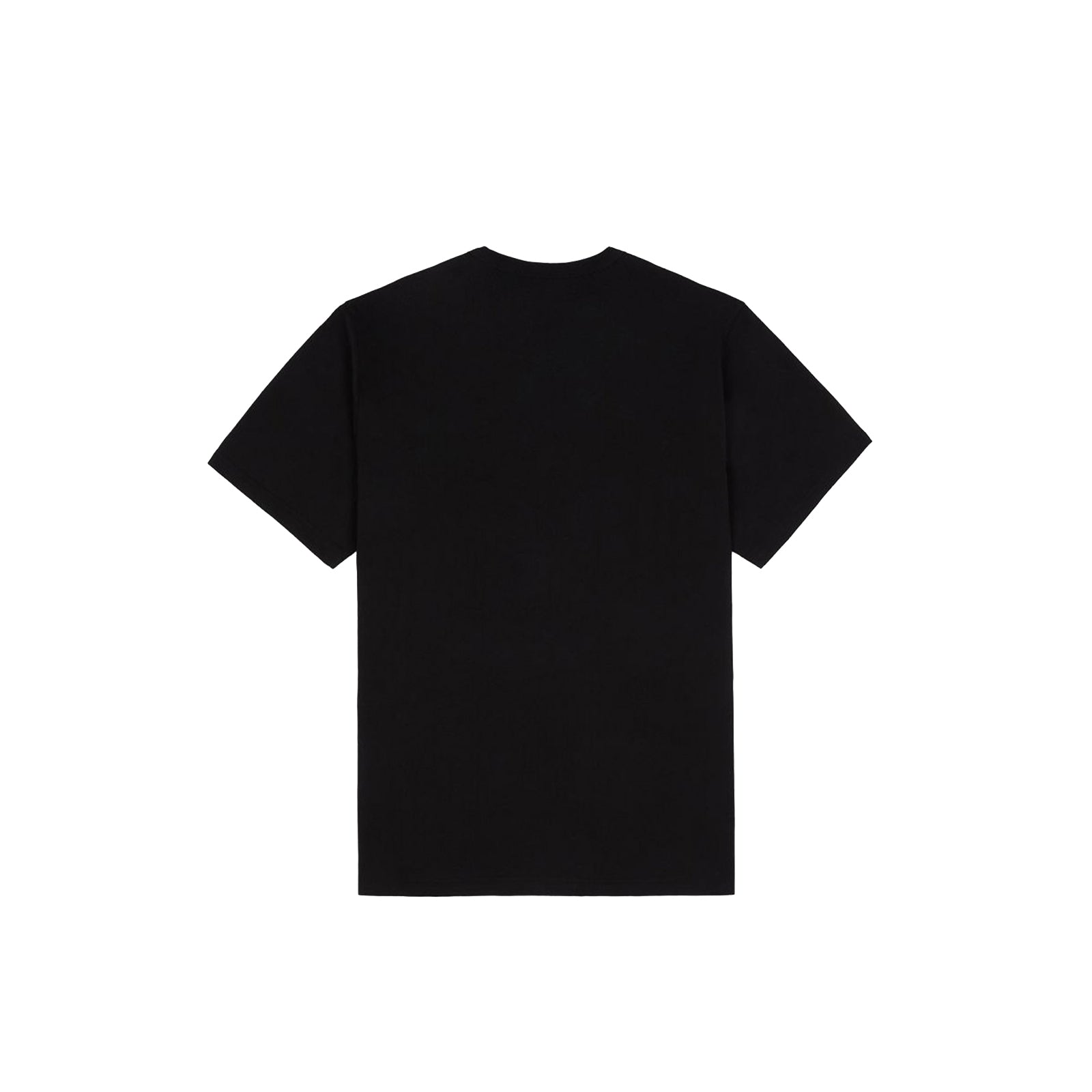 Dickies Aitkin Tee Pezzi Unici