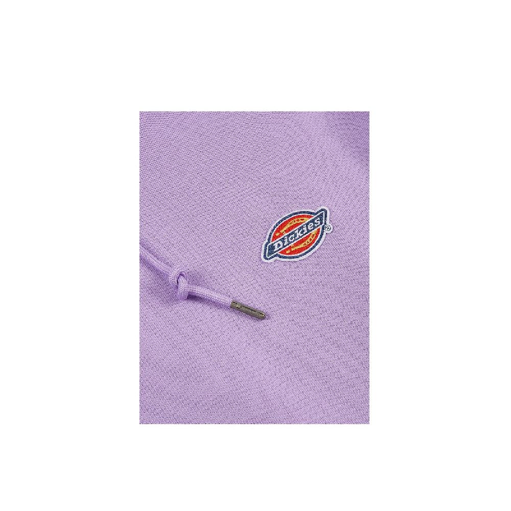 Dickies Millersburg Hoodie Negozio